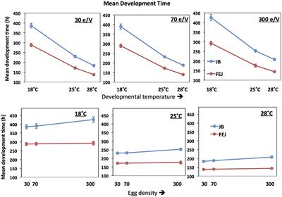 Does Long-Term Selection for Development Time Result in Canalization: A Test Using Drosophila melanogaster